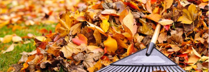 Laubrechen und Laubhaufen